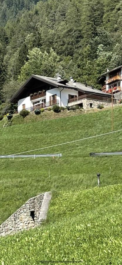 Villetta Sulle Dolomiti Pracorno di Rabbi Eksteriør bilde